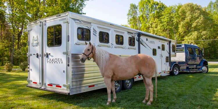 Horse Trailer Security: 5 Options You Want
