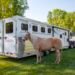 Horse Trailer Security: 5 Options You Want