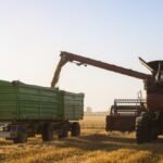 What Are Excavator Stick Extensions?