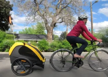Bike Trailer Cycle: Important Data for Cyclists