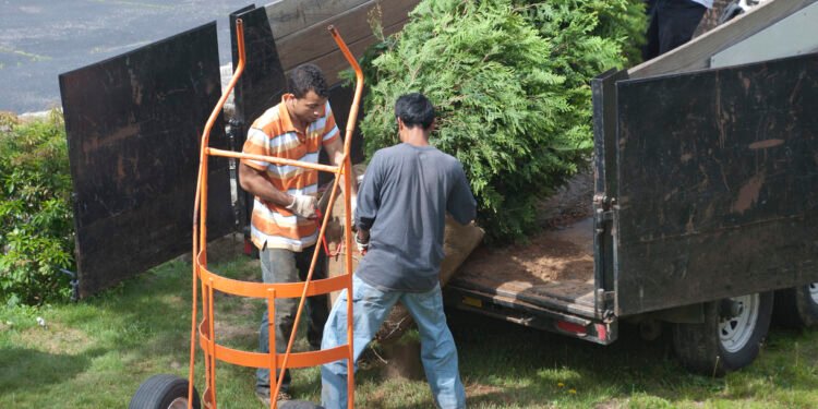 Dump Truck vs. Dump Trailer: Which is Proper for Your Hauling Wants?