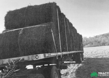 Hay Bale Varieties and How Many Match On a Trailer